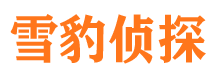 青秀寻人公司